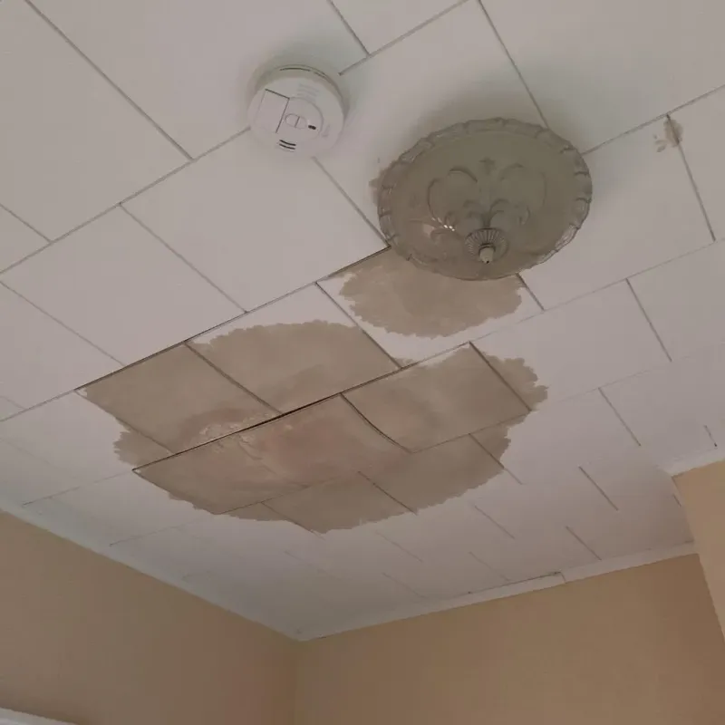 Ceiling Water Damage Repair in Rosenberg, TX