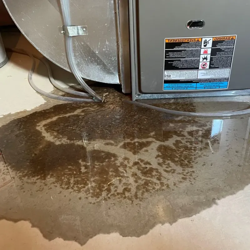 Pipe Burst and Leak Restoration in Rosenberg, TX